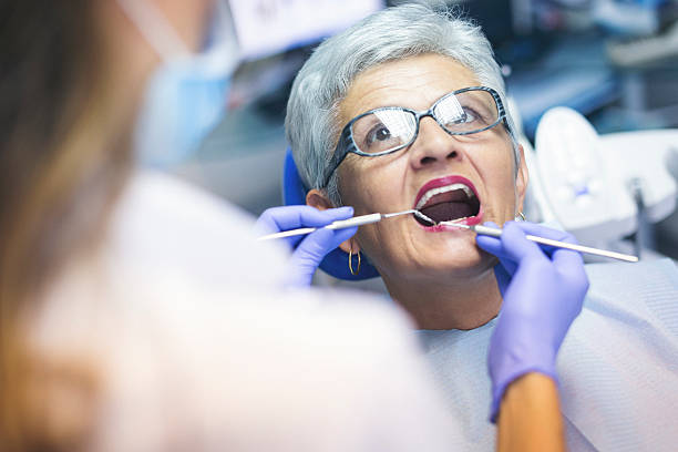 Professional Holistic Dental Care Services in Waterman, IL